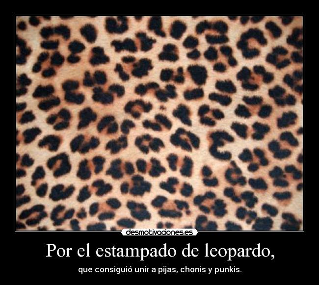Por el estampado de leopardo, - que consiguió unir a pijas, chonis y punkis.