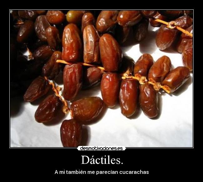 Dáctiles. - A mi también me parecían cucarachas