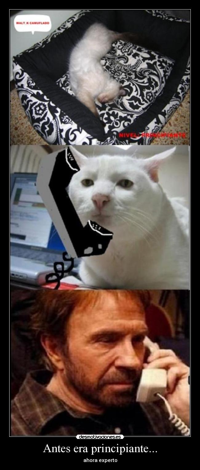 Antes era principiante... - ahora experto