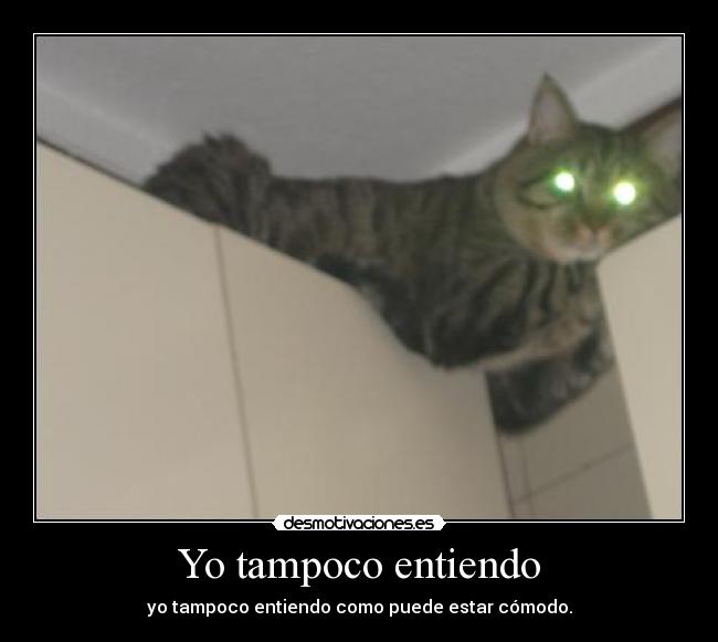 Yo tampoco entiendo - yo tampoco entiendo como puede estar cómodo.