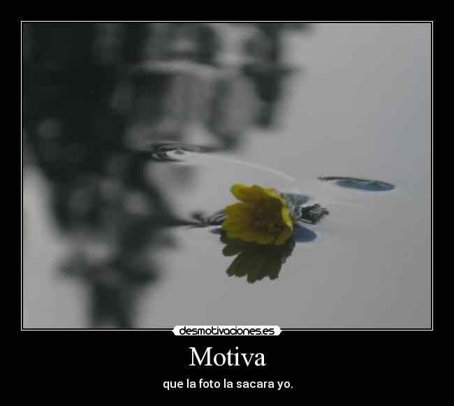 Motiva - que la foto la sacara yo.