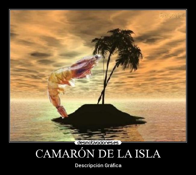 CAMARÓN DE LA ISLA - Descripción Gráfica