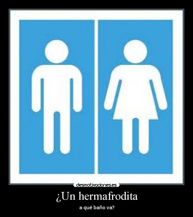 ¿Un hermafrodita - 