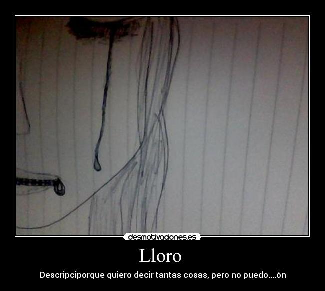 Lloro - Descripciporque quiero decir tantas cosas, pero no puedo....ón