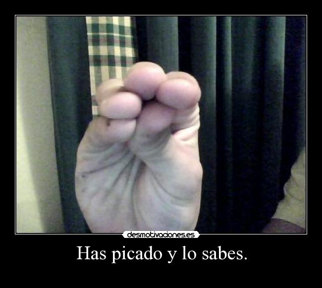 Has picado y lo sabes. -