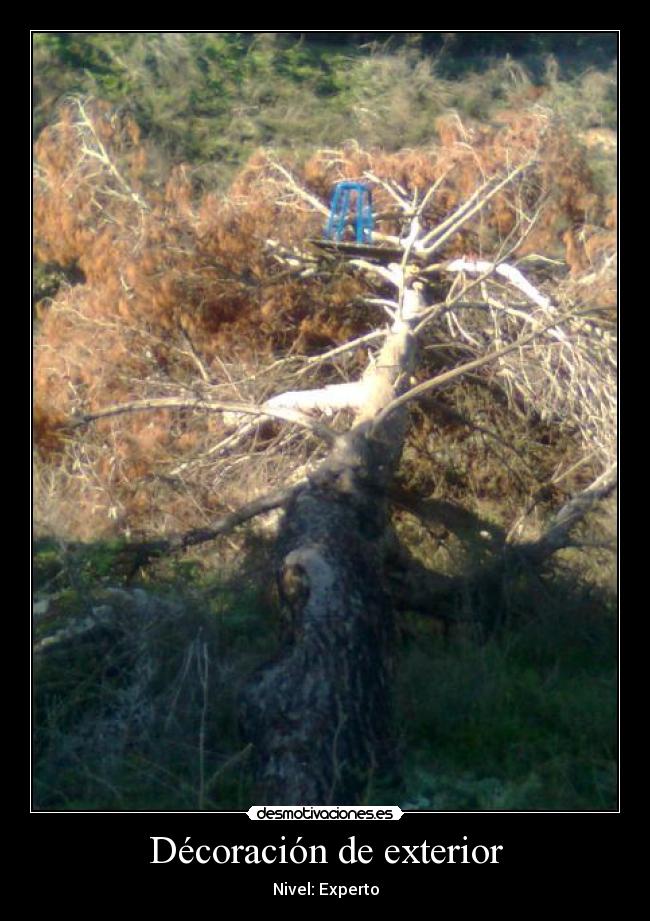 Décoración de exterior - Nivel: Experto
