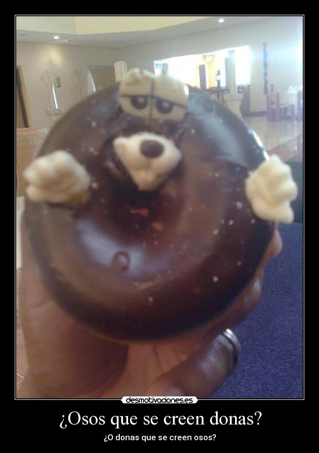 ¿Osos que se creen donas? - ¿O donas que se creen osos?