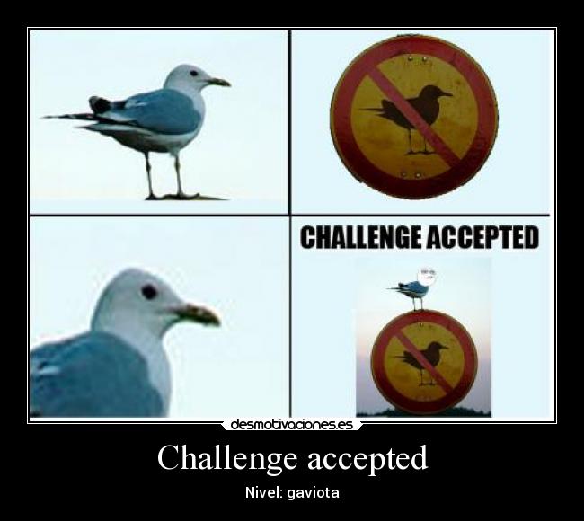 Challenge accepted -