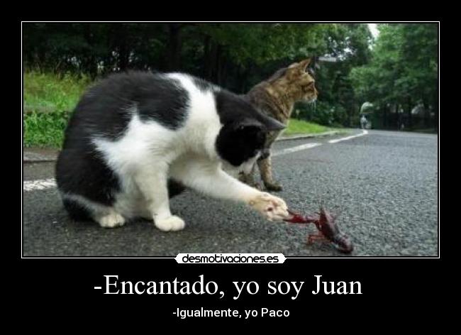 -Encantado, yo soy Juan -