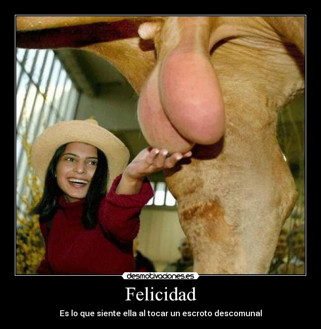 Felicidad - Es lo que siente ella al tocar un escroto descomunal