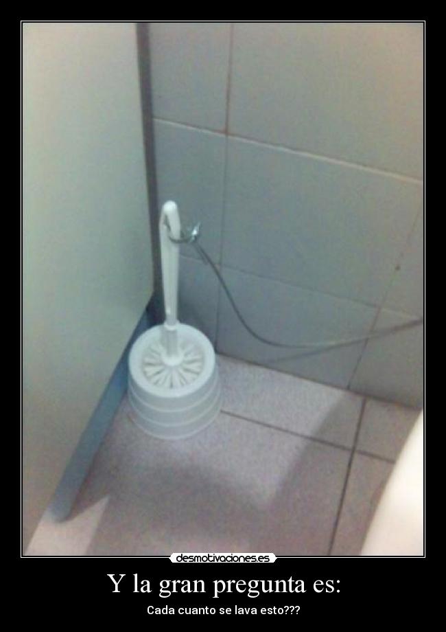 Y la gran pregunta es: - Cada cuanto se lava esto???