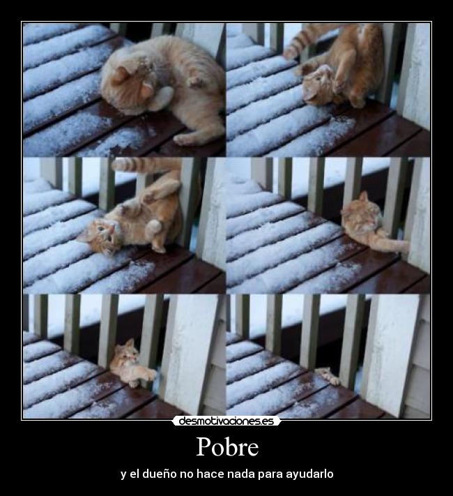 carteles pobre desmotivaciones