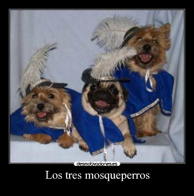 Los tres mosqueperros -