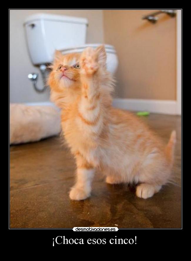 ¡Choca esos cinco!  - 