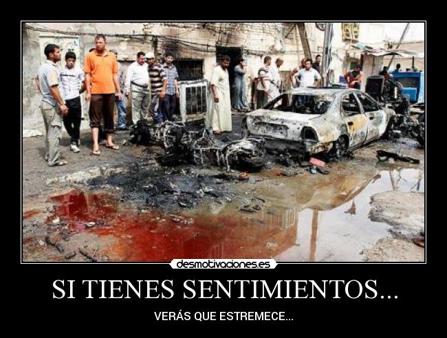 SI TIENES SENTIMIENTOS... - VERÁS QUE ESTREMECE...