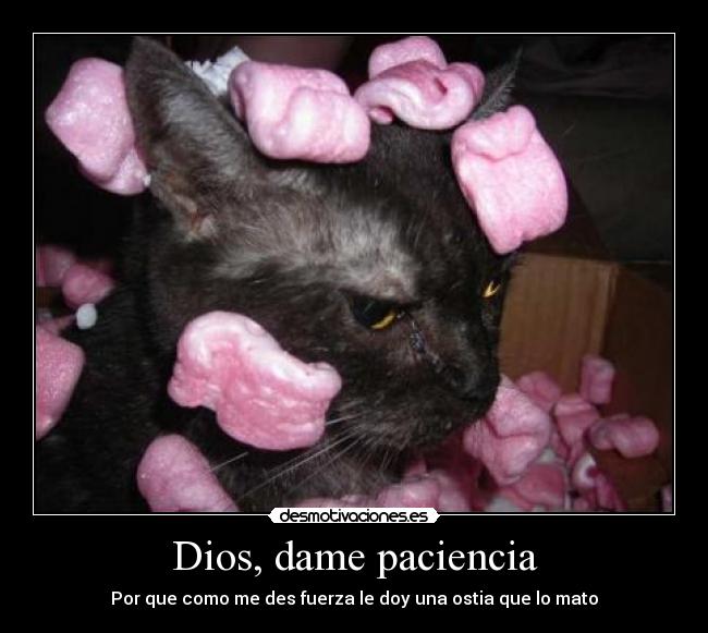 Dios, dame paciencia - Por que como me des fuerza le doy una ostia que lo mato