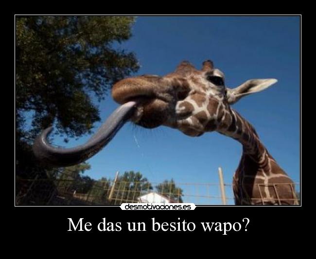 Me das un besito wapo? - 