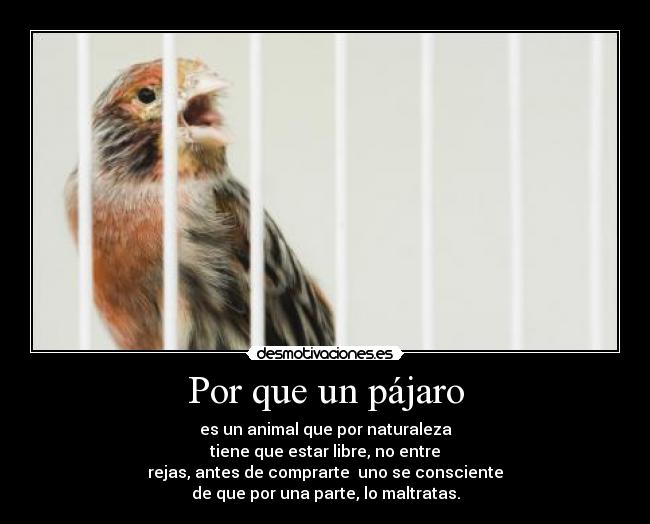 carteles fuckyeah desmotivaciones