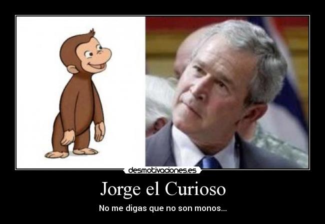 Jorge el Curioso - No me digas que no son monos...
