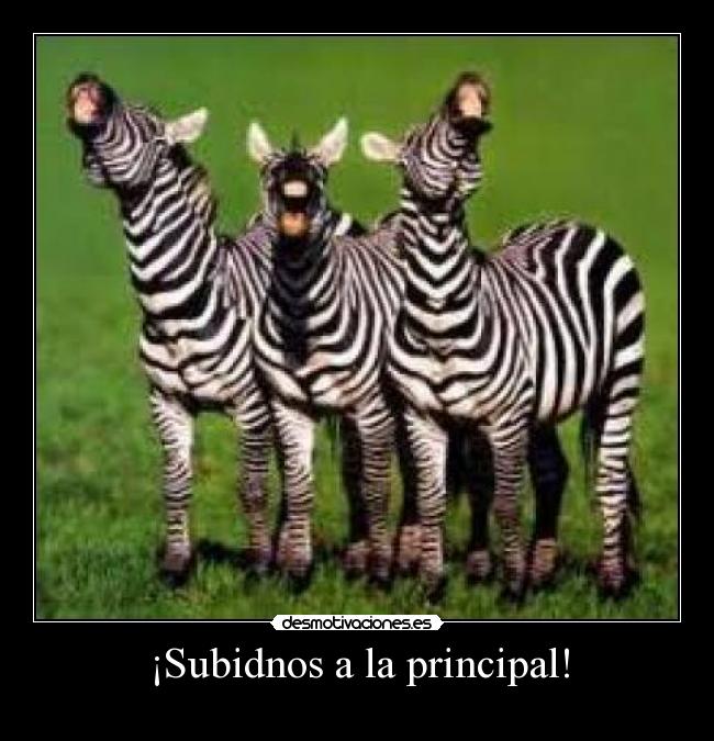 ¡Subidnos a la principal! - 