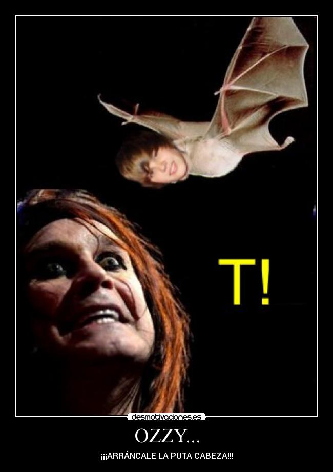 OZZY... -