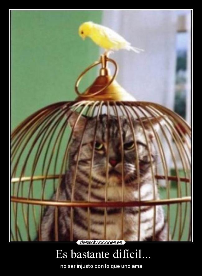 carteles o_o desmotivaciones