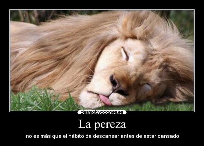 La pereza - 