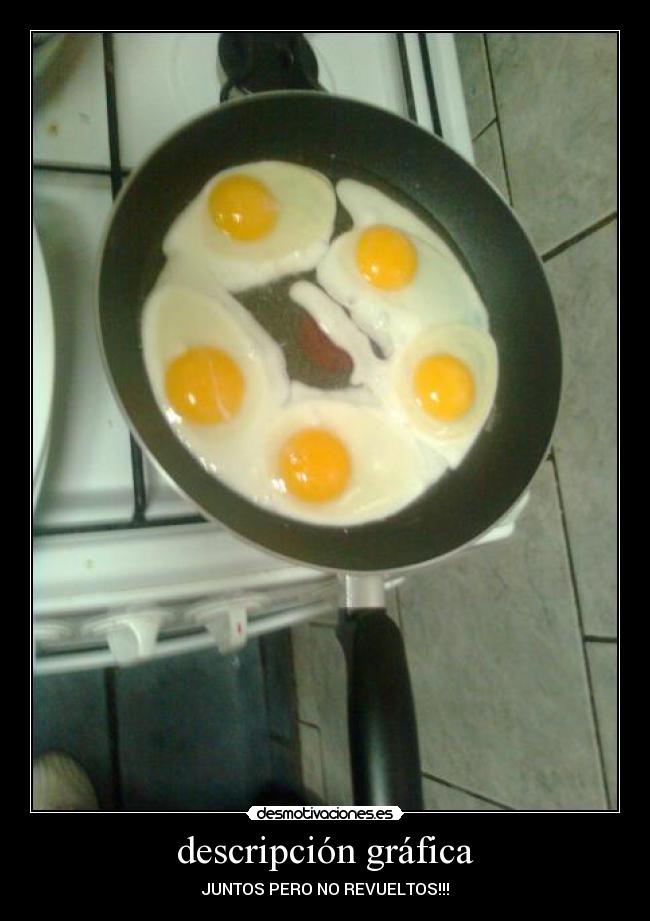 descripción gráfica - 