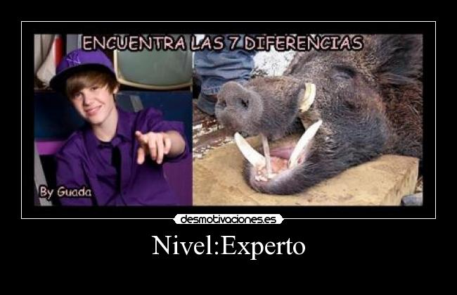 Nivel:Experto - 