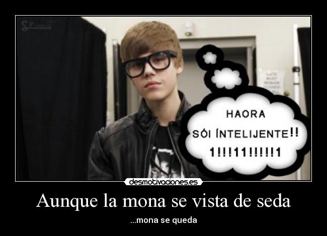 Aunque la mona se vista de seda - 