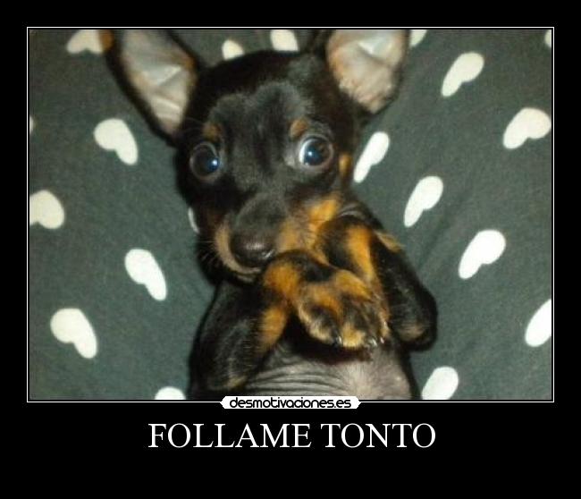 FOLLAME TONTO -