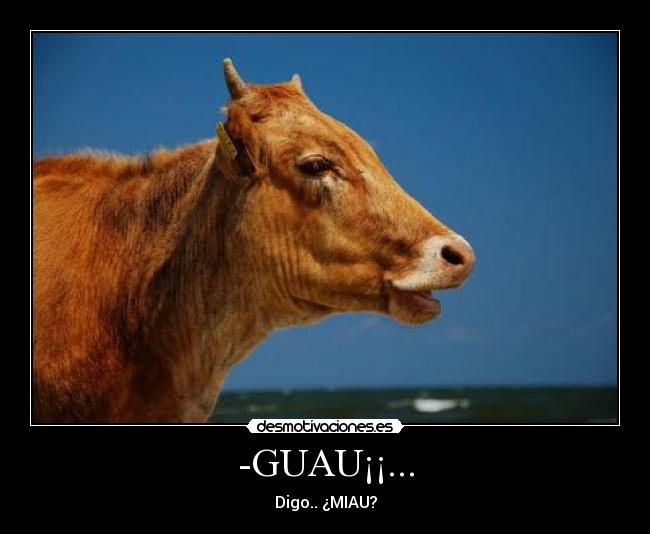 -GUAU¡¡... - Digo.. ¿MIAU?