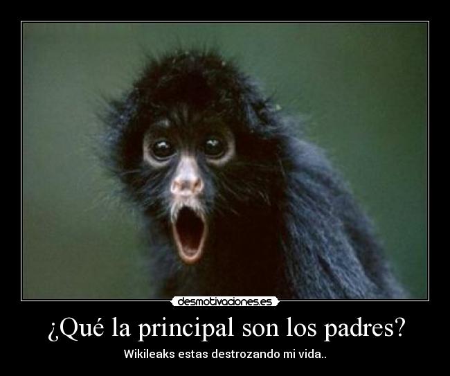 ¿Qué la principal son los padres? -