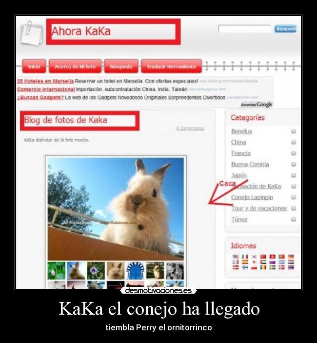 KaKa el conejo ha llegado - tiembla Perry el ornitorrinco