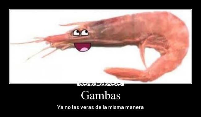 Gambas - Ya no las veras de la misma manera