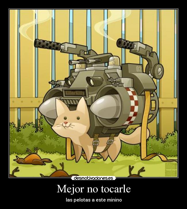 Mejor no tocarle - las pelotas a este minino