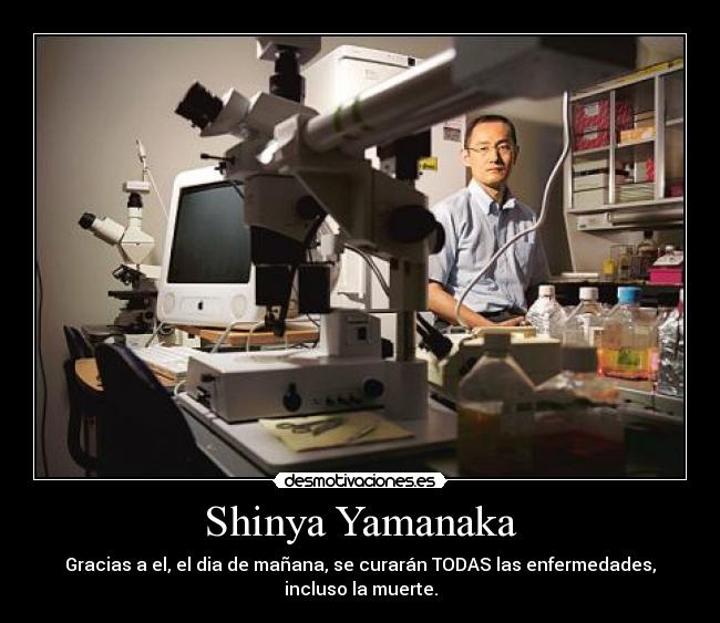 Shinya Yamanaka - Gracias a el, el dia de mañana, se curarán TODAS las enfermedades,
incluso la muerte.