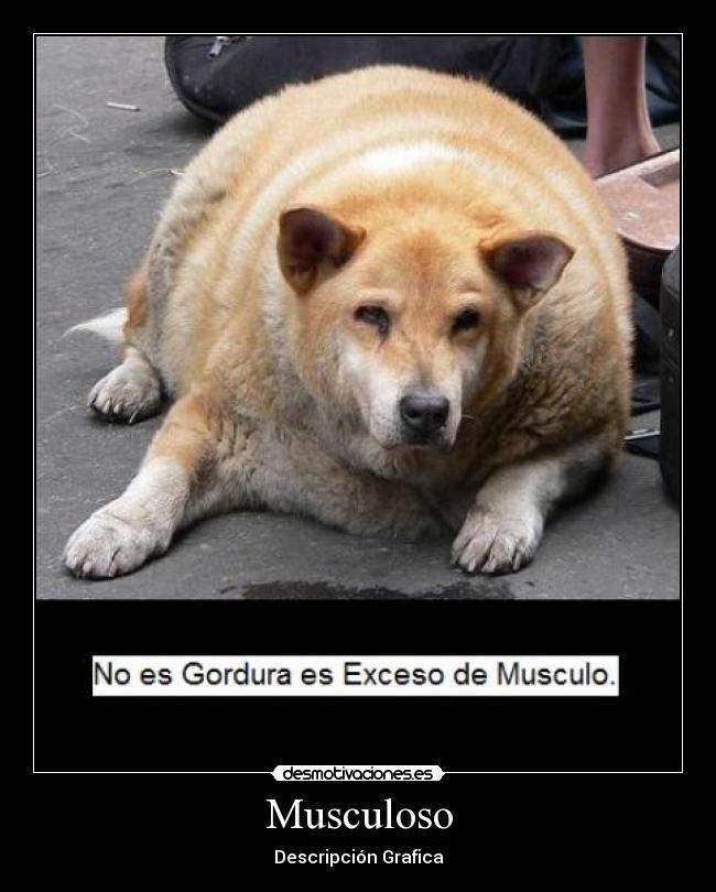 Musculoso - 