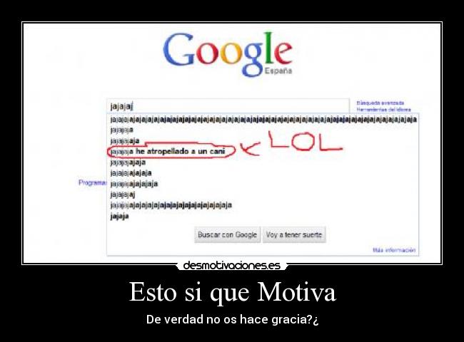 carteles atropello cani desmotivaciones