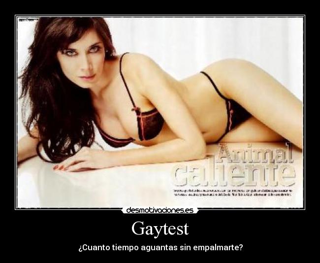 Gaytest -