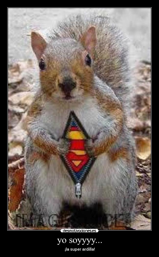 yo soyyyy... - ¡la super ardilla!