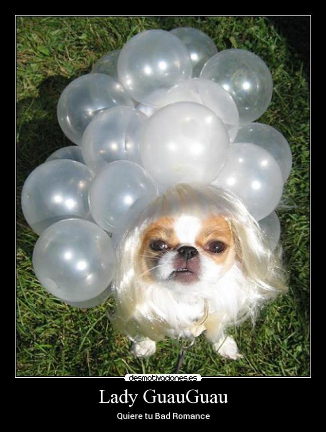 carteles lady guau guauguau gaga bad romance desmotivaciones