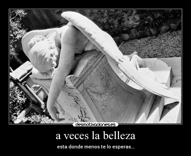 a veces la belleza - esta donde menos te lo esperas...