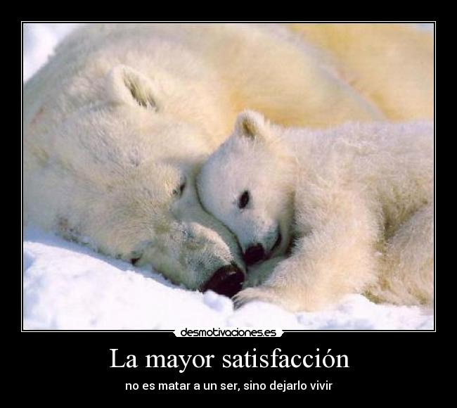 La mayor satisfacción - no es matar a un ser, sino dejarlo vivir