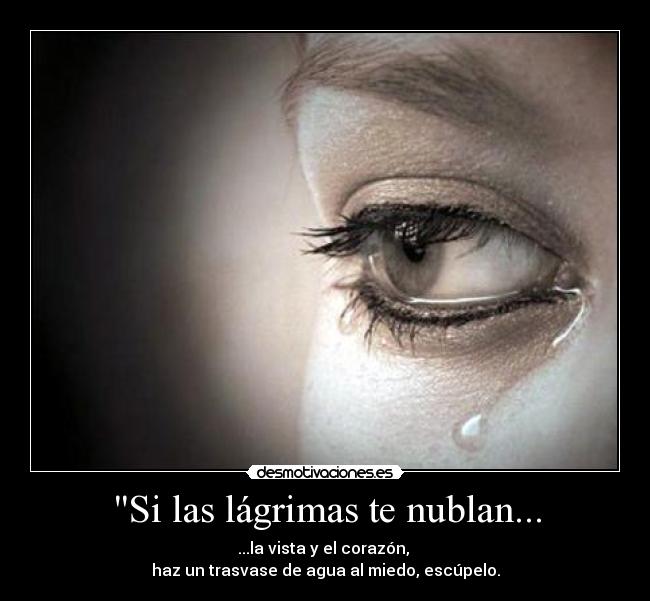 Si las lágrimas te nublan... - ...la vista y el corazón,
haz un trasvase de agua al miedo, escúpelo.