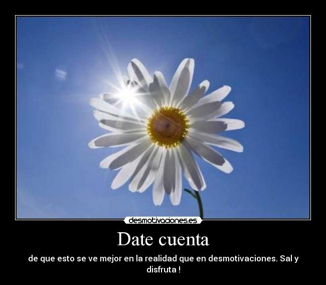 Date cuenta - de que esto se ve mejor en la realidad que en desmotivaciones. Sal y disfruta !