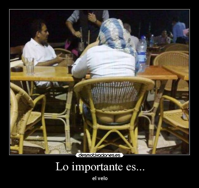 carteles prefieren vean pelo culo desmotivaciones