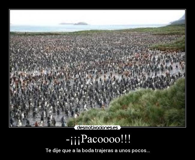-¡¡¡Pacoooo!!! -