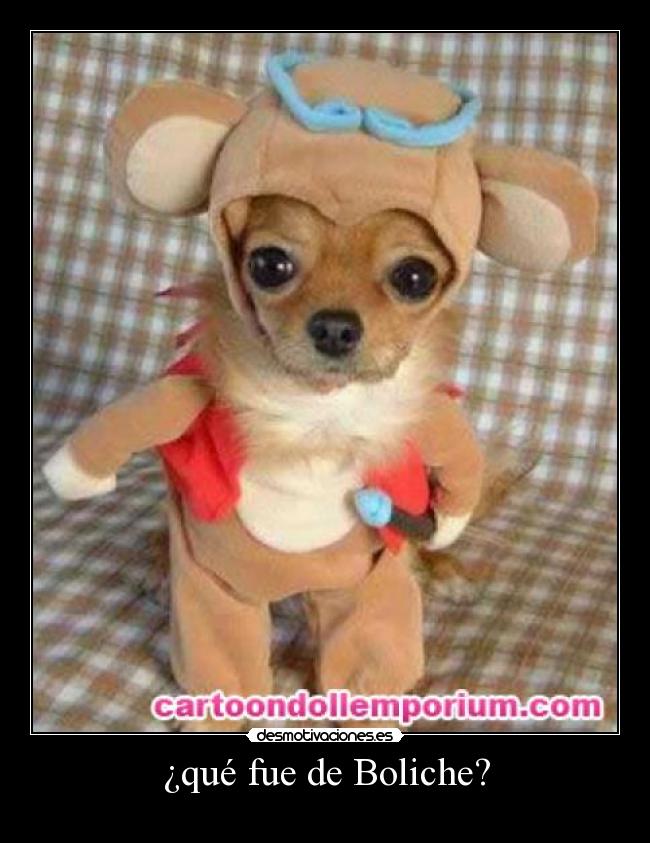 ¿qué fue de Boliche? -