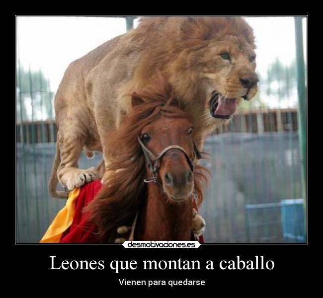 Leones que montan a caballo -